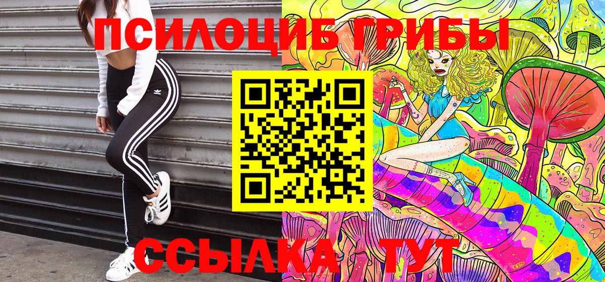 Псилоцибиновые грибы GOLDEN TEACHER Георгиевск