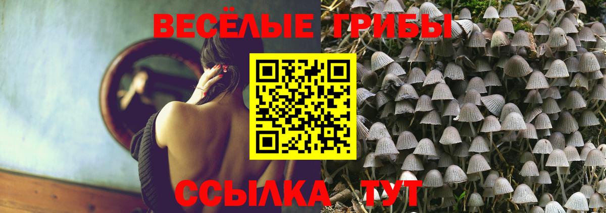 Псилоцибиновые грибы Psilocybe  Вход с VPN  Георгиевск 